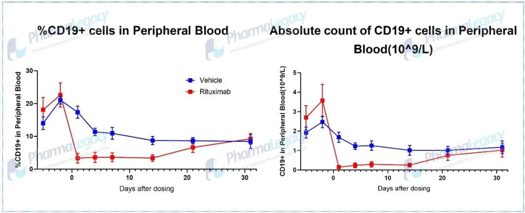 Application of B Cell Depletion Therapy in Autoimmune Diseases: Part II ...