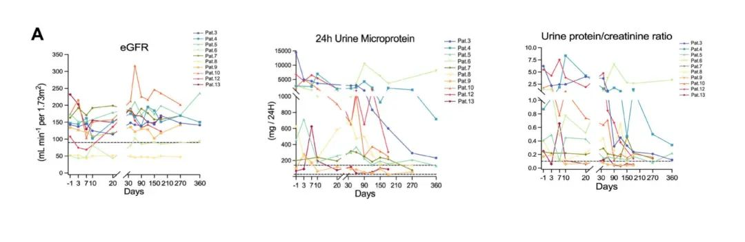 Application of B Cell Depletion Therapy in Autoimmune Diseases Part III ...