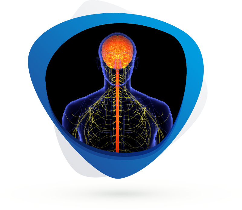 Huntington’s Disease Models