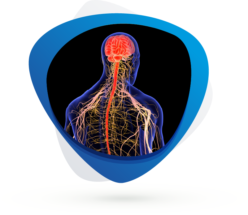Parkinson’s Disease Models