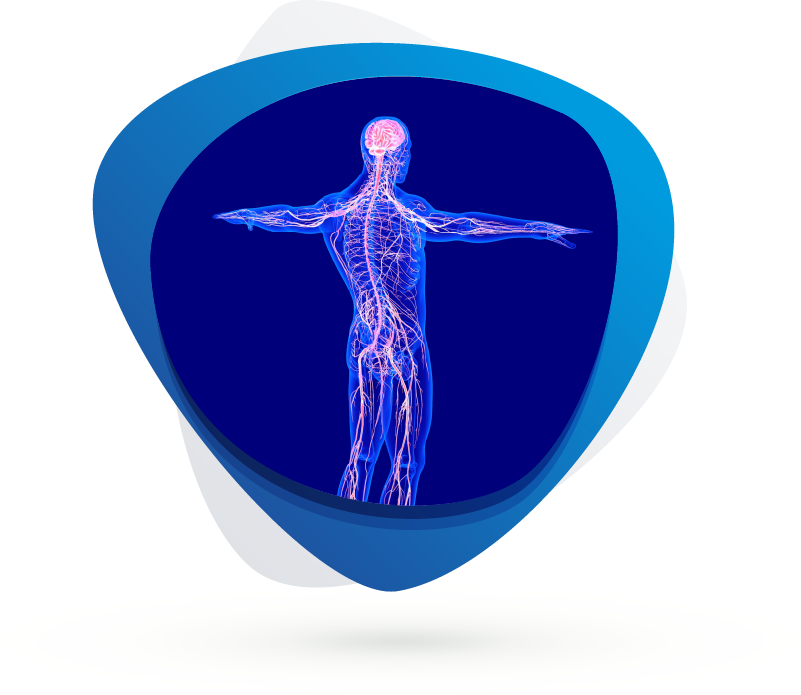 Rett Syndrome Models