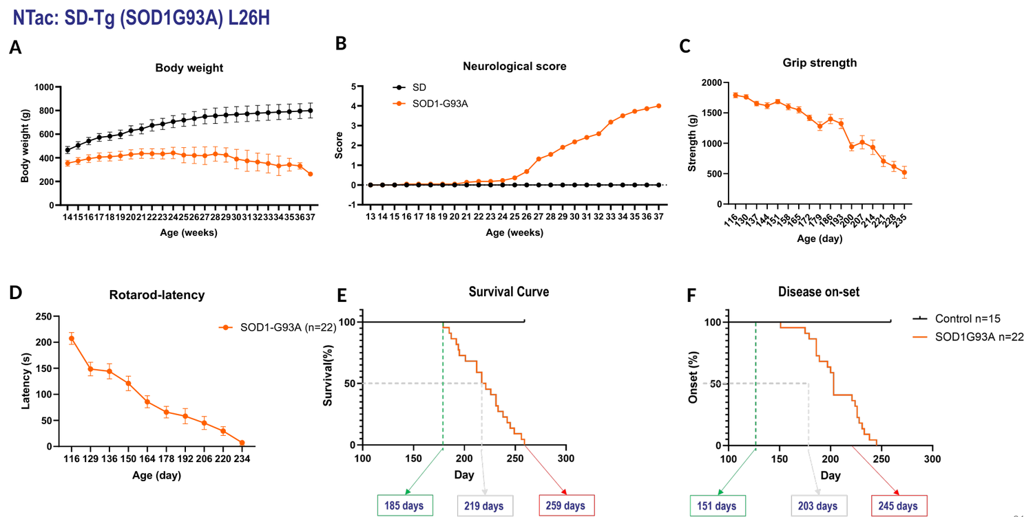 SOD1-G93A transgenic ALS rat model — body weight, neurological score, grip strength, survival curve