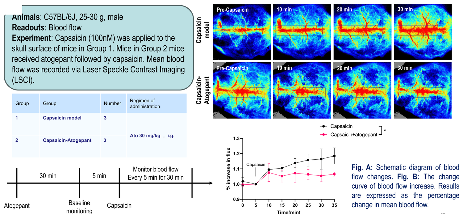 Capsaicin-induced migraine model — laser speckle contrast imaging of blood flow, atogepant