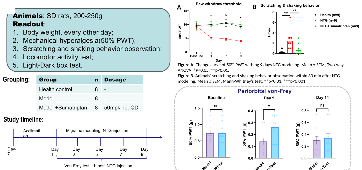 Nitroglycerin (NTG)-induced migraine model in rat — mechanical hyperalgesia and behavior