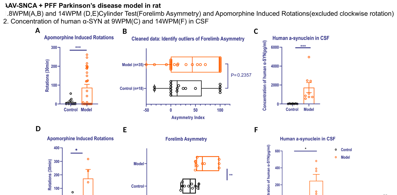 AAV-SNCA + PFF Parkinson's disease rat model — cylinder test and apomorphine-induced rotations
