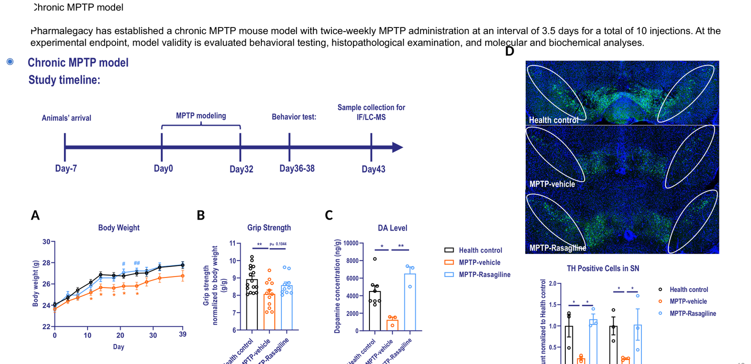 MPTP-induced Parkinson's disease chronic model in mouse — behavioral tests