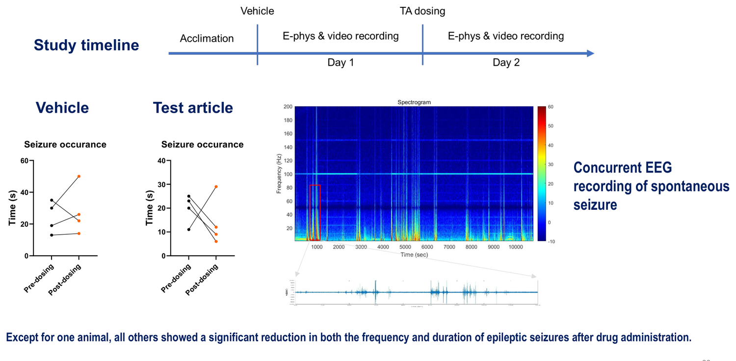Scn1a knockout genetic seizure model in mouse — video-EEG of spontaneous seizures