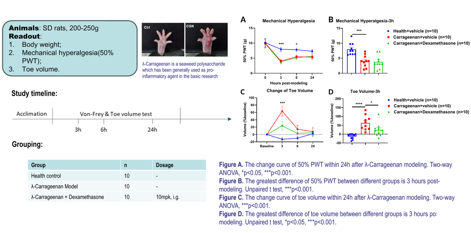 Lambda-carrageenan-induced inflammatory pain model — paw withdrawal threshold and toe volume