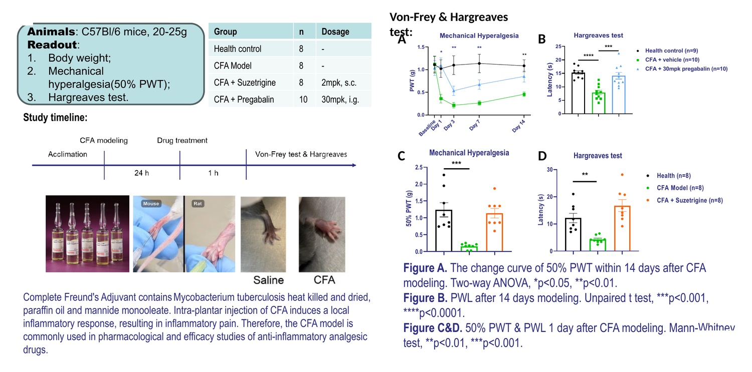 Complete Freund’s adjuvant (CFA)-induced inflammatory pain model — von Frey and Hargreaves test