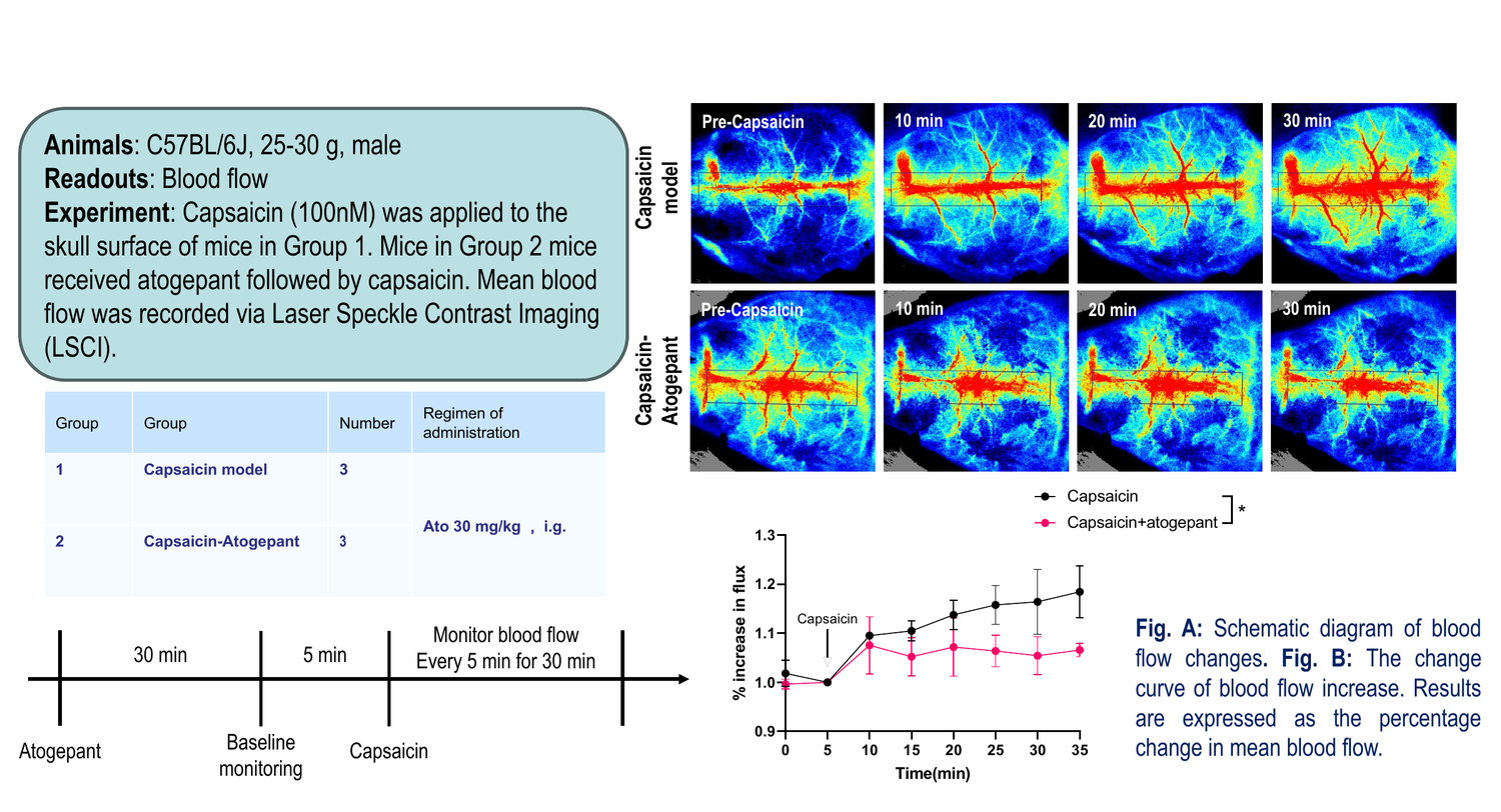 Capsaicin-induced migraine model — laser speckle contrast imaging of blood flow, atogepant