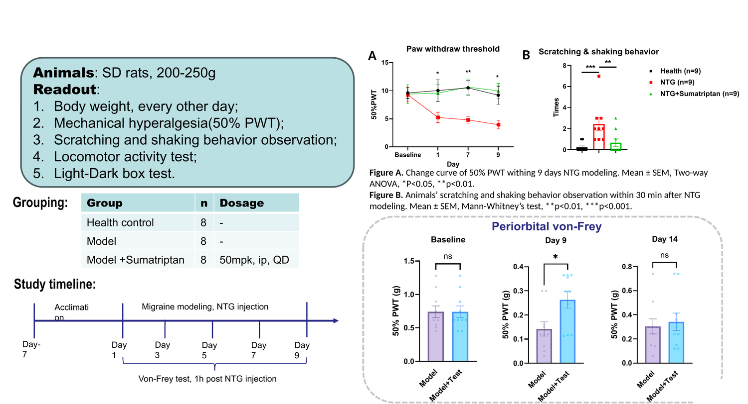 Nitroglycerin (NTG)-induced migraine model in rat — mechanical hyperalgesia and behavior
