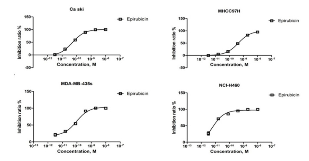Epirubicin dose-response case studies in Ca ski, MHCC97H, MDA-MB-435s, and NCI-H460 cancer cell lines